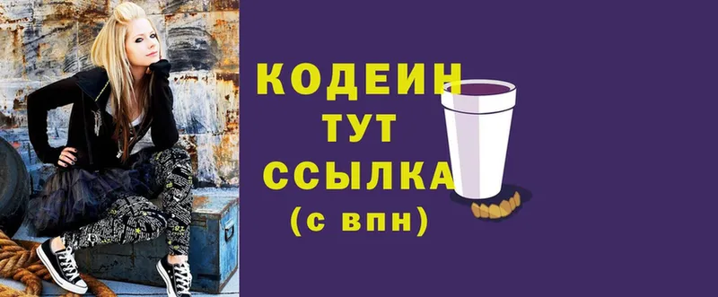 МЕГА ссылки  Петропавловск-Камчатский  Кодеин Purple Drank 